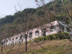 -小南山公园