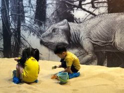 -恐龙探索乐园(磁器口店)