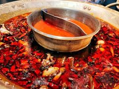 -哥老官重庆美蛙鱼头(圆融广场店)