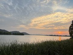 -东湖落雁景区