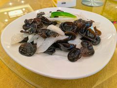 山药黑木耳-旭龙鱼头王(航华店)
