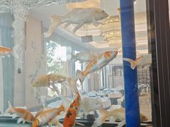 -玉雪春天(中正花园店)