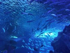 -多彩贵州城极地海洋世界