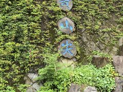 -千岛湖东南湖区