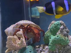 -太平洋海底世界