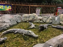 -龙达温泉生态城