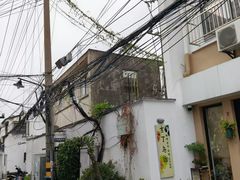 -吉丁鸟咖·异宠·寄养