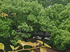 -杭州香格里拉·香宫中餐厅