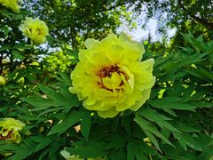 -国家植物园南园