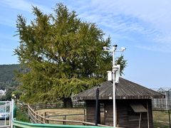 -苏州太湖西山岛开心农场