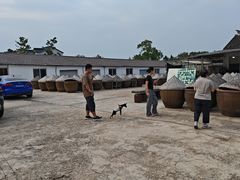 -苏州市吴中区光福窑上花果蜜饯厂