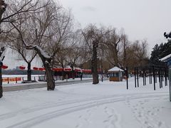 -长春市南湖公园