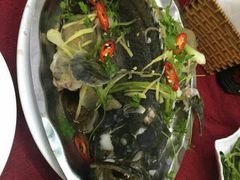 -QQ海鲜餐厅