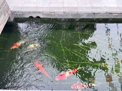 -西安市广仁寺