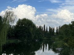 -桃花岛公园