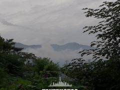 -北京鹫峰国家森林公园