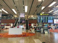 -樟宜机场免税店