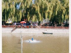 -尚庄度假村·庭台树下·户外烧烤·团建CS·轰趴营地(上庄水库店)
