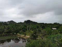 -沙美村