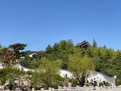 -《神游传奇》秀