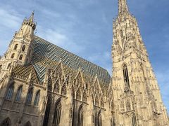 -斯蒂芬主教座堂(Stephansdom)