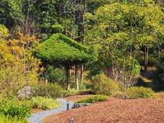 -云溪植物园