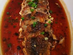 -大榕树下顺德菜(融创茂店)