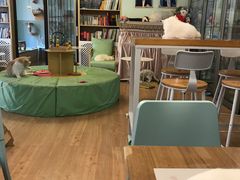 -MOYOYO猫咪咖啡店