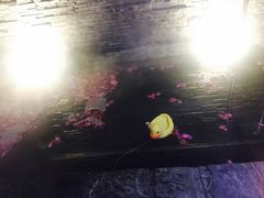 -北京美神宫艺术主题温泉酒店