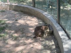 -青藏高原野生动物园