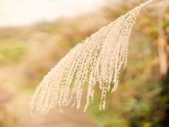 -山王坪喀斯特国家生态公园