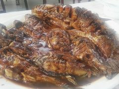 -金台阶鱼馆(于桥水库店)