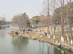 -九里河湿地公园