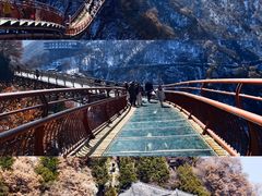 -少华山国家森林公园