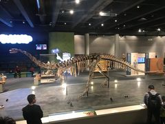 -香港科学馆
