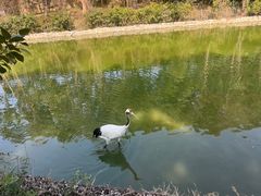 -杭州野生动物世界
