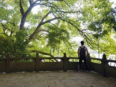 -严子陵钓台(富春江小三峡)