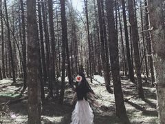 -石棉县孟获城