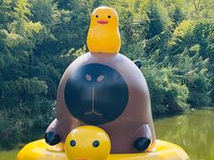 -黄海国家森林公园