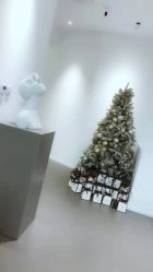 -紫御国际抗衰ZOE ANTI AGING