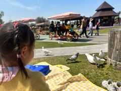 -南通洲际绿博园