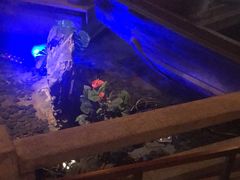 -佬麻雀·新湘菜(珠海金发购物中心店)