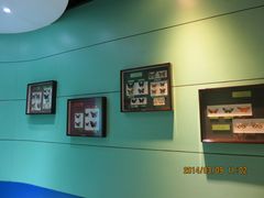 IMG_2802-上海昆虫博物馆