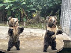 -贵州森林野生动物园