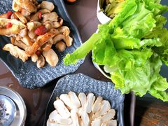 -蘑统田下·野生菌火锅