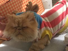 -小时光咖啡馆(开森度假森林店)