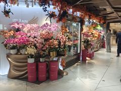 -city'super超·生活(国金中心商场店)