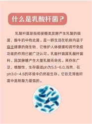 点击看大图 -玛莲朵·海菲秀冰珀科