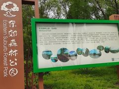 -东郊湿地公园