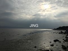 -深圳湾公园(南山区)